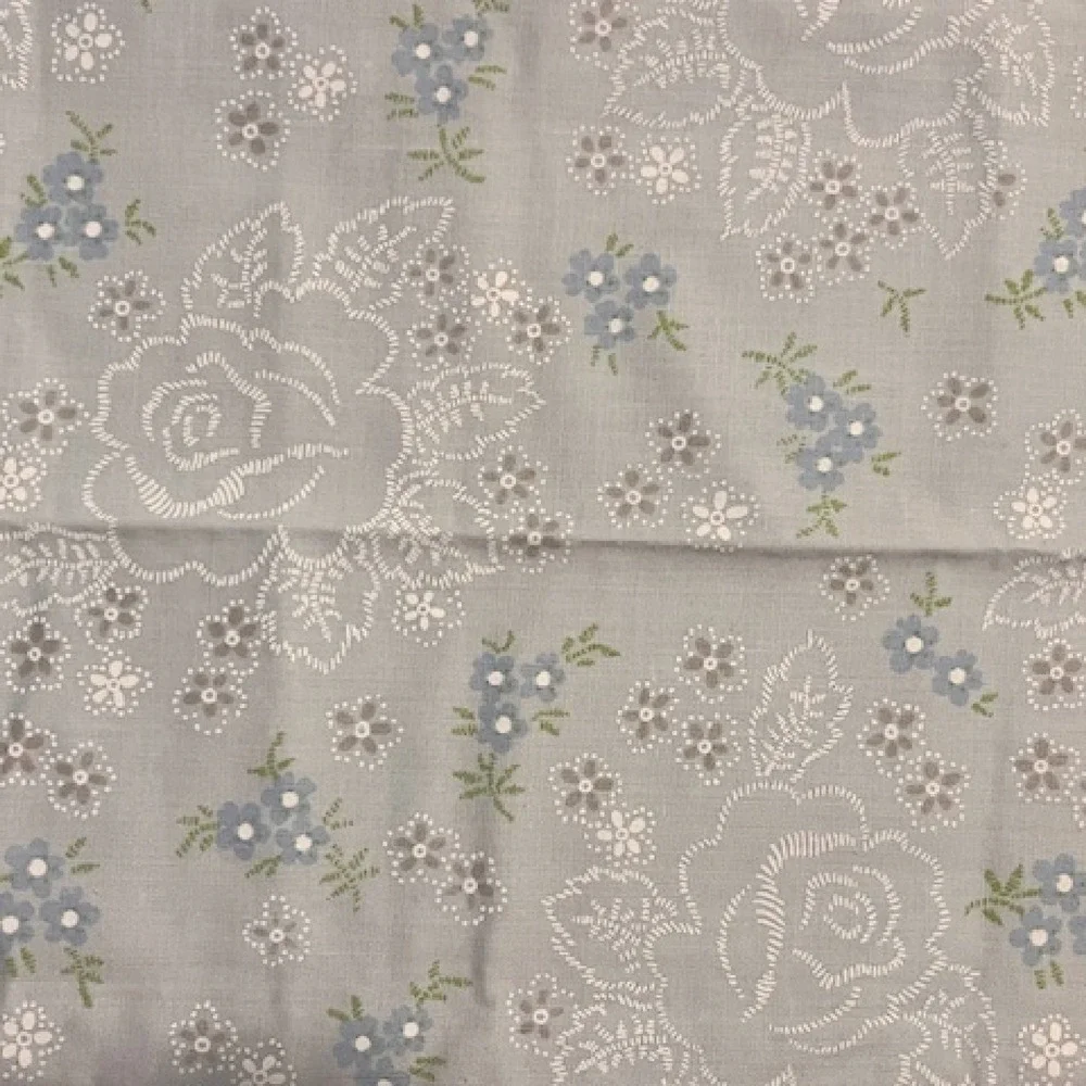 Vintage pair of pillowcases, Cannon, blue floral‎ cottagecore floral